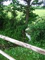 2010-05- (9)